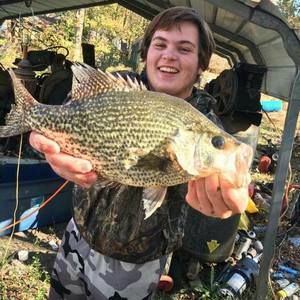 Meet your Posher, Jimmy lee